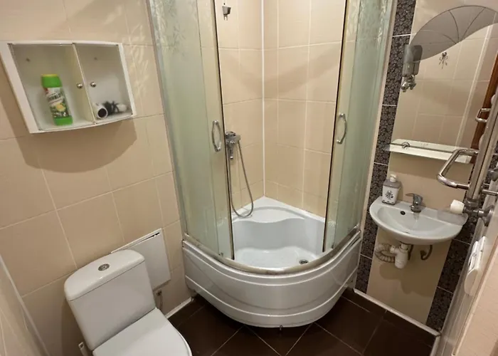 2 кімнатна трускавець,поруч центр та дельфінарій Apartmán